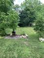 41 Hayden Rowe St. - Photo 13
