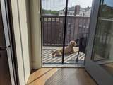 7 Burroughs Street - Photo 14