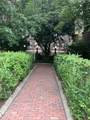 43 Linnaean St - Photo 14
