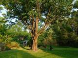 250-A Parkerville Road - Photo 15