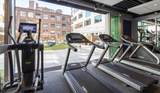 50 Rogers St. - Photo 17