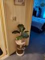 175 Ward St - Photo 7