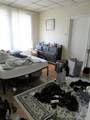 17 Putnam Ave - Photo 2