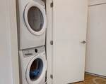 20 Penniman Rd - Photo 9