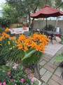 11 Prescott Street - Photo 16