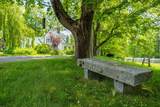 298 Hale Street - Photo 41