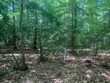 0 Lion Hill Rd - Photo 10