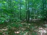 0 Lion Hill Rd - Photo 11