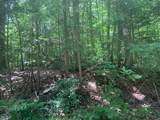 0 Lion Hill Rd - Photo 12
