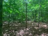 0 Lion Hill Rd - Photo 14