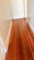 137 Euclid Avenue - Photo 7