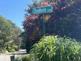 10 Shadbush - Photo 2