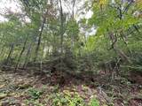 0 Manley Phelps Road - Photo 11