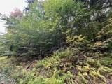 0 Manley Phelps Road - Photo 16