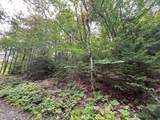 0 Manley Phelps Road - Photo 3