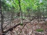 0 Manley Phelps Road - Photo 6
