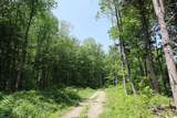 Lot 3 Yokum Pond Rd - Photo 5