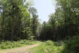 Lot 3 Yokum Pond Rd - Photo 6