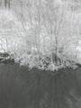 30 Little Rest Rd - Photo 37