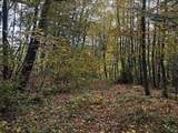 0 Woodland Way - Photo 8