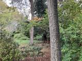 3 Glenoe Rd - Photo 10