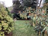 3 Glenoe Rd - Photo 11