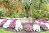 277 Meeting House Path - Photo 38