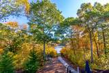 42 Fells Pond Rd - Photo 22