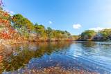 42 Fells Pond Rd - Photo 3