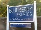 7 Blueberry Drive(55 Plus) - Photo 2