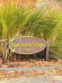 15 Hawthorne Vlg - Photo 6