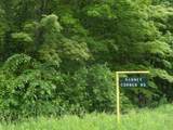 333 Ranney Corner Rd - Photo 3
