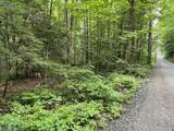 0 Goss Hill Road/Kimball Road - Photo 4