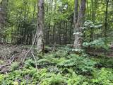 0 Goss Hill Road/Kimball Road - Photo 5