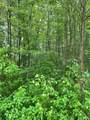 0 Twin River Rd. - Photo 12