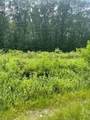 0 Twin River Rd. - Photo 7