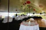 123 Party Rental Business - Photo 25