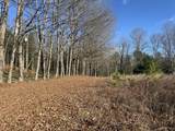 2 Pisgah Mountain Rd - Photo 3