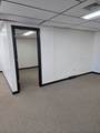 65 Maple St. - Photo 21