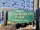 10 Hammond Pond Parkway - Photo 13