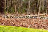 11 Acre Rd - Photo 25