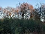 Lot 3 Lawler Ln - Photo 2