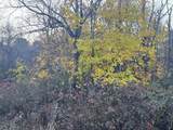 Lot 3 Lawler Ln - Photo 3
