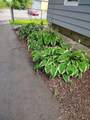 23 Granite Street - Photo 8
