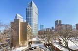 6 Whittier Place - Photo 9