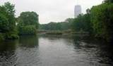61 Park Drive - Photo 12