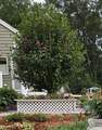 46 Rosewood Ave - Photo 6