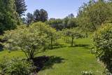 45 Wendy Lane - Photo 41