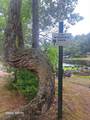 19 Mashapaug Rd - Photo 20