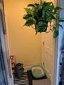 5 Blake Street - Photo 24